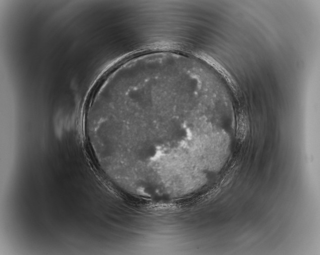 X0000093410886200711091357