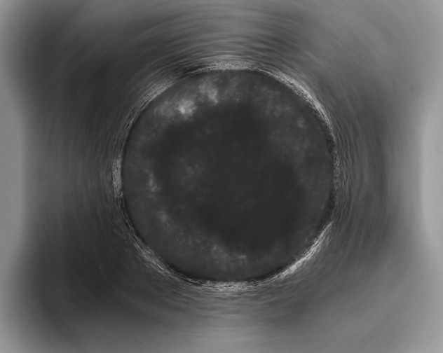 X0000093410889200711091357