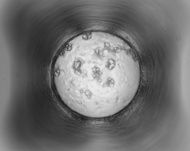 X0000093410890200711091357