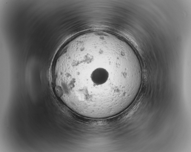 X0000093410891200711091357