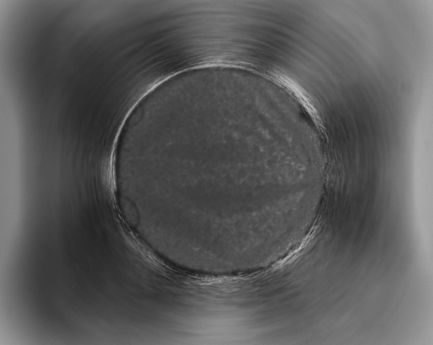 X0000093410892200711091357