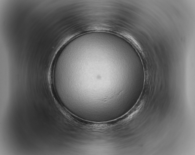 X0000093410893200711091357