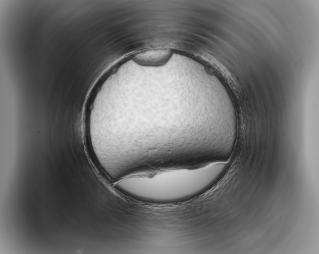 X0000093410894200711091357