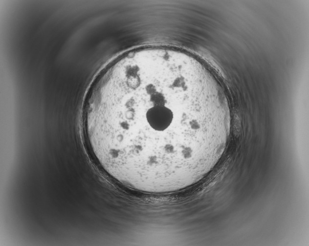 X0000093410895200711091357