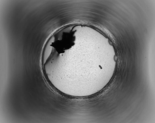 X0000093410896200711091357