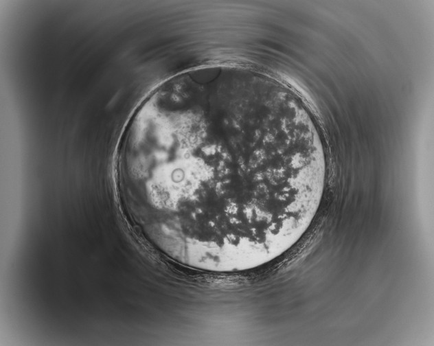 X0000093410899200711091357