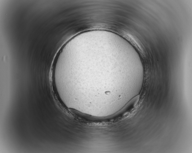 X0000093410900200711091357