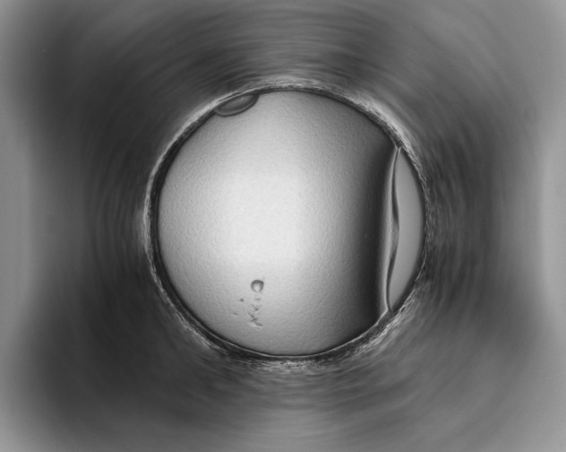 X0000093410902200711091357