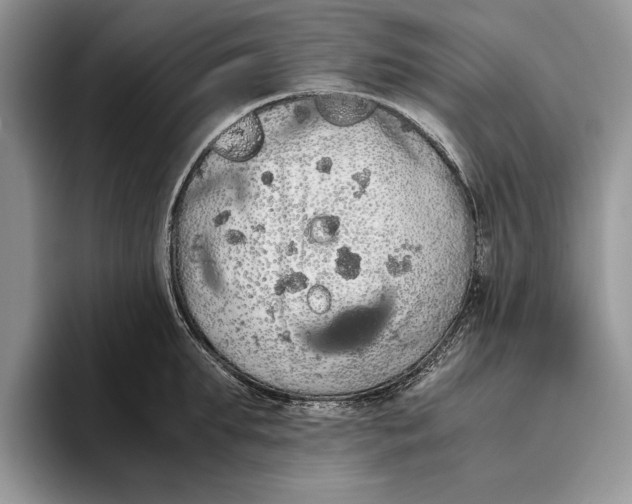 X0000093410903200711091357