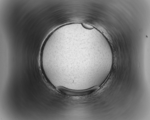 X0000093410904200711091357