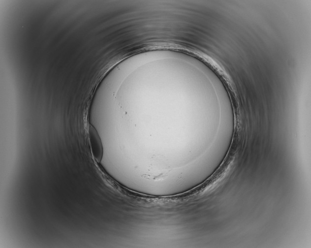 X0000093410905200711091357