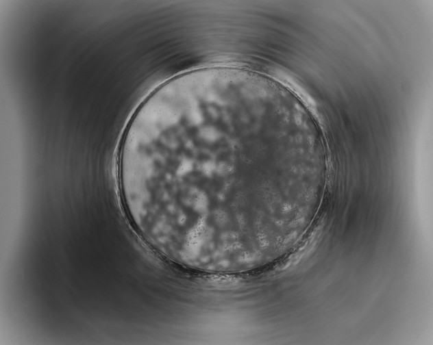 X0000093410907200711091357