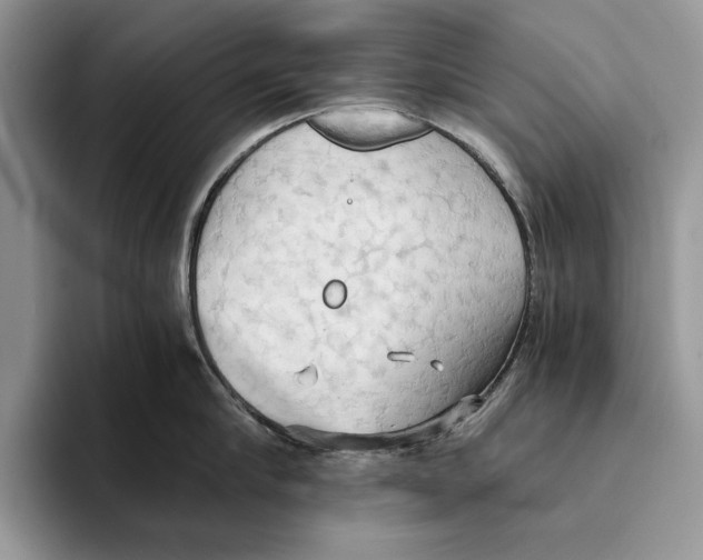 X0000093410910200711091357