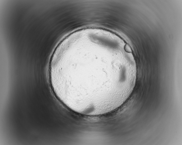 X0000093410911200711091357