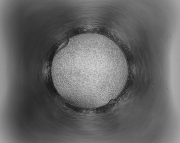 X0000093410914200711091356