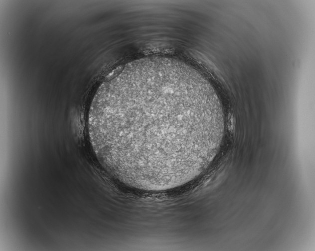 X0000093410915200711091356