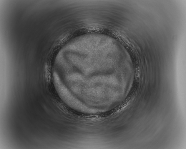 X0000093410916200711091356