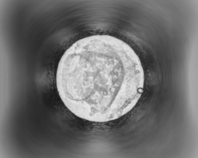 X0000093410918200711091356