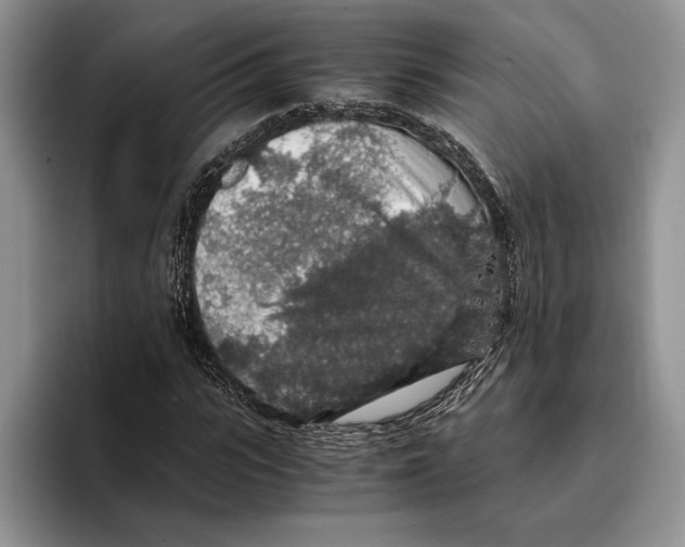 X0000093410919200711091356