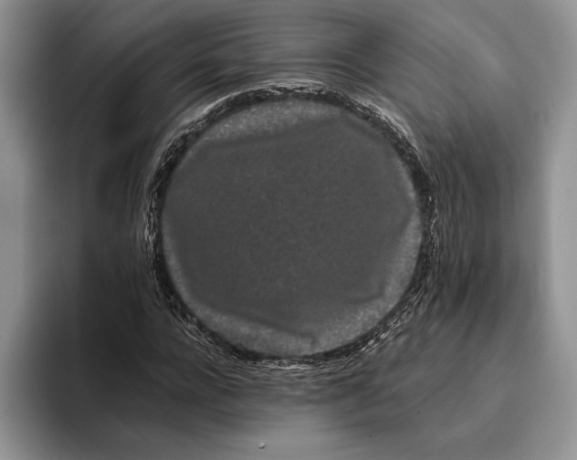 X0000093410920200711091356