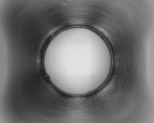 X0000093410922200711091356