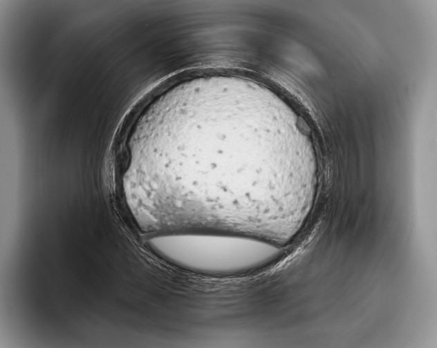 X0000093410925200711091356