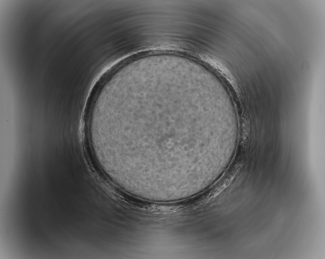 X0000093410928200711091356