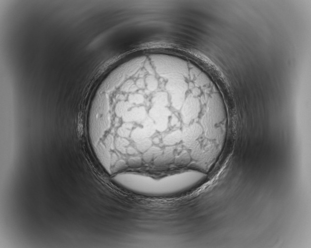 X0000093410929200711091356