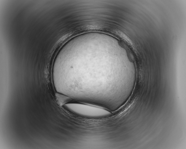 X0000093410930200711091356