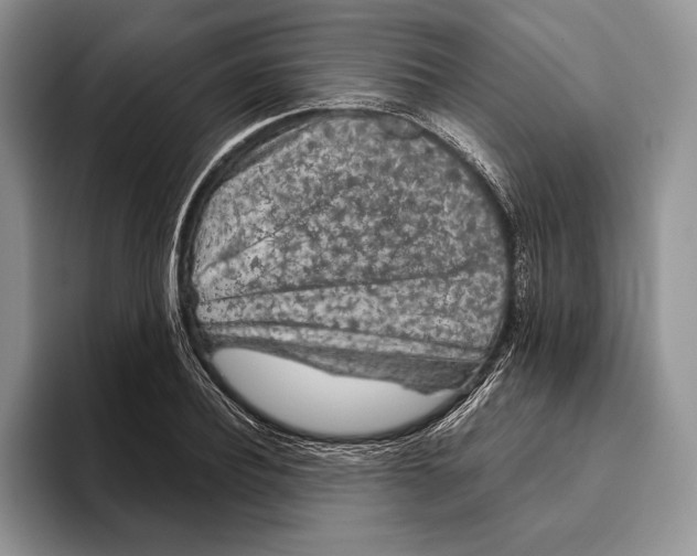 X0000093410932200711091356