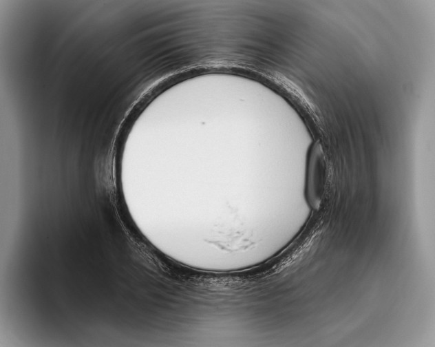 X0000093410934200711091356