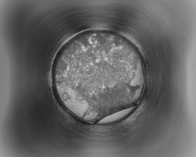 X0000093410935200711091356