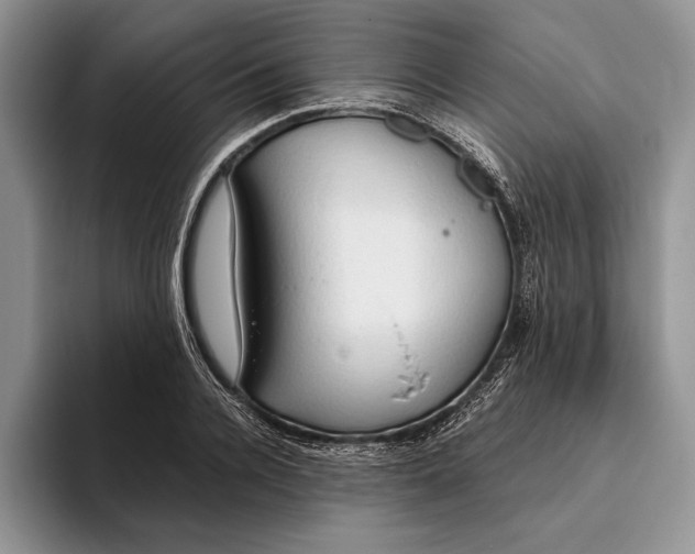 X0000093410936200711091356