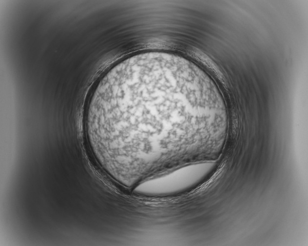 X0000093410938200711091356