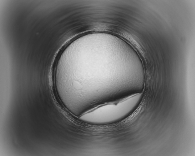 X0000093410939200711091356