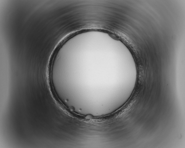 X0000093410942200711091356