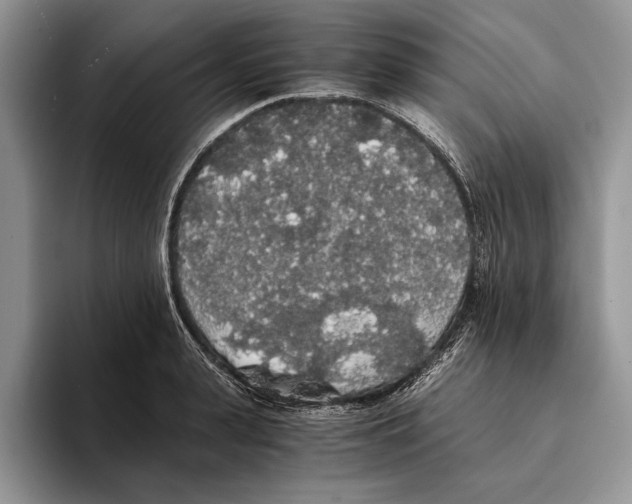 X0000093410943200711091357