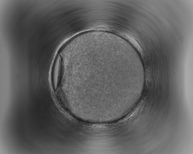 X0000093410944200711091357