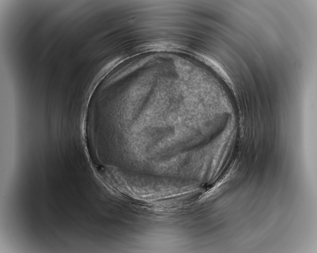 X0000093410946200711091357