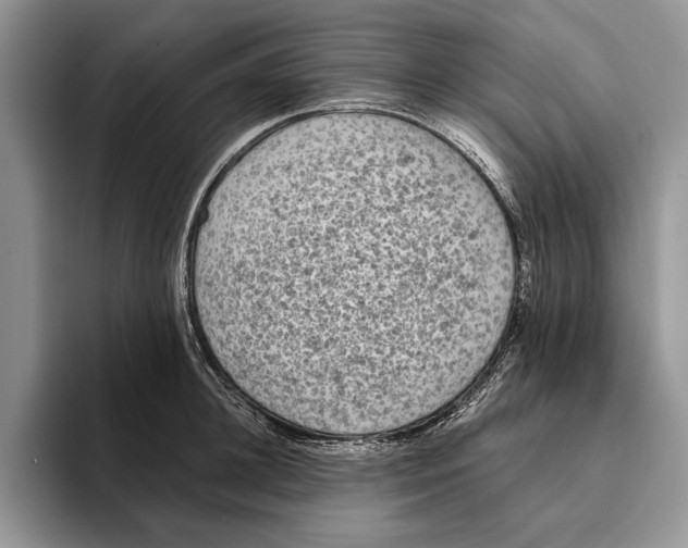 X0000093410948200711091357