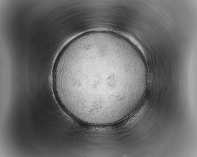 X0000093410951200711091357