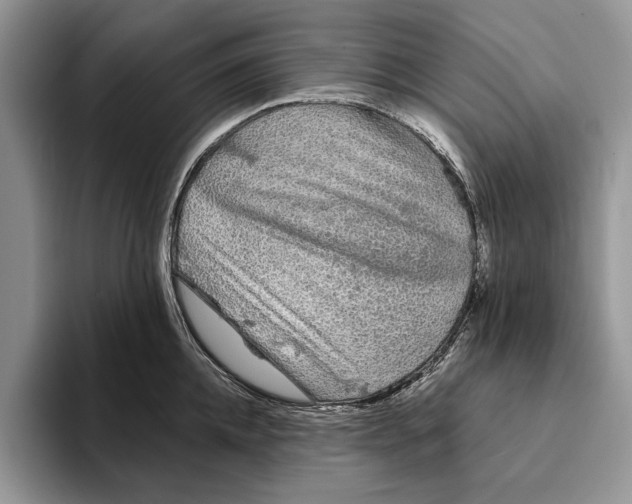 X0000093410952200711091357