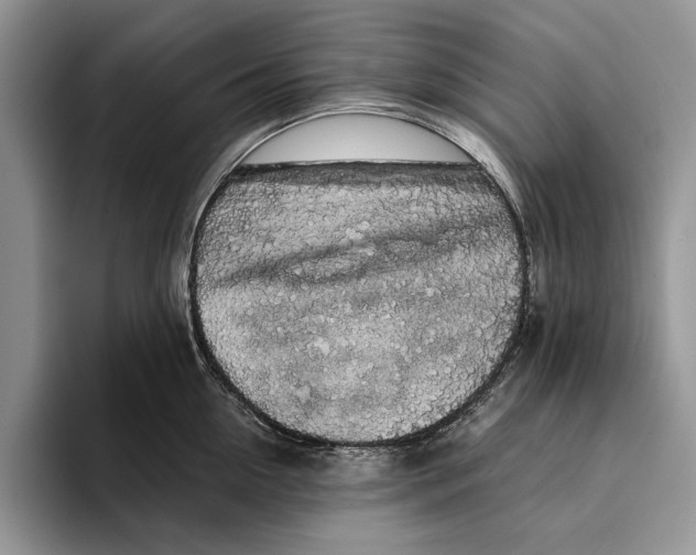 X0000093410954200711091357