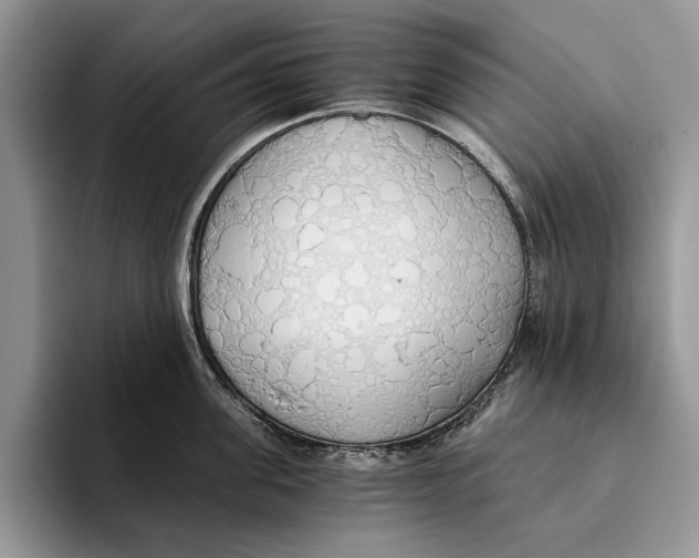 X0000093410955200711091357