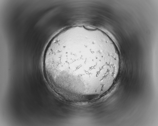 X0000093410957200711091357