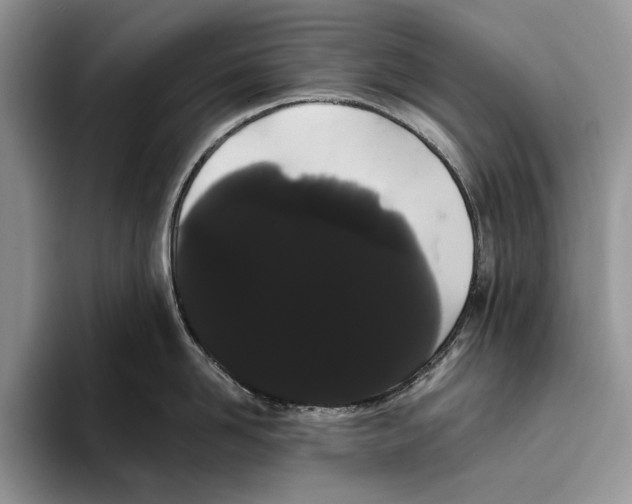 X0000093410958200711091357