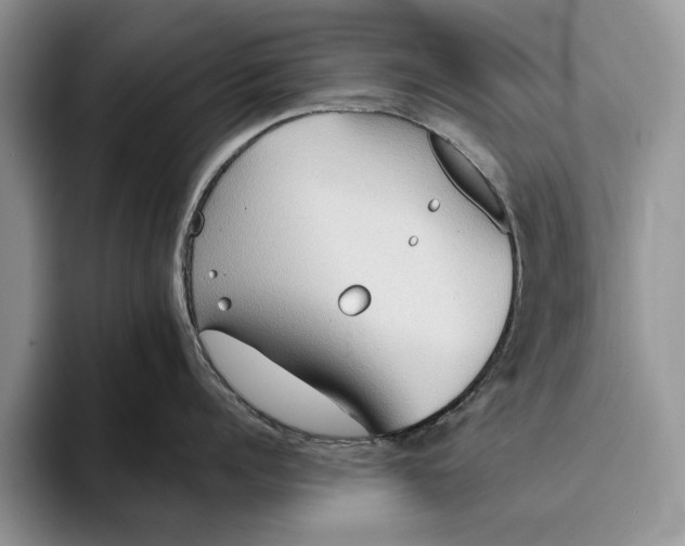 X0000093410960200711091357