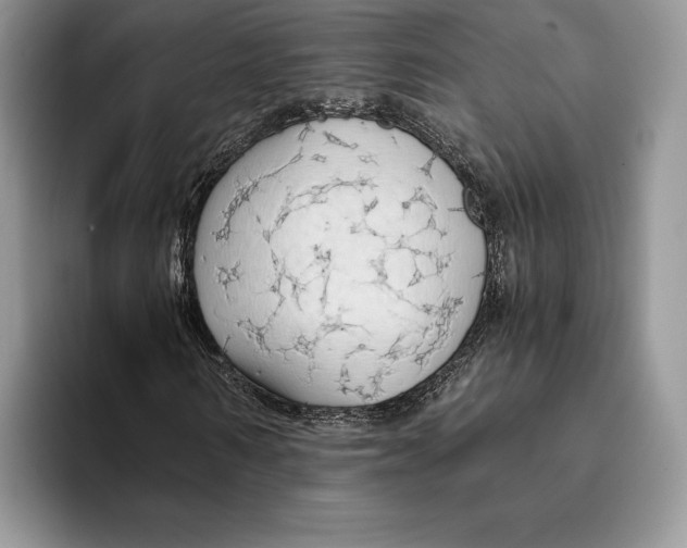 X0000093410962200711091356