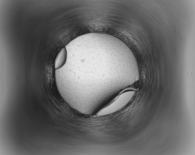 X0000093410964200711091356