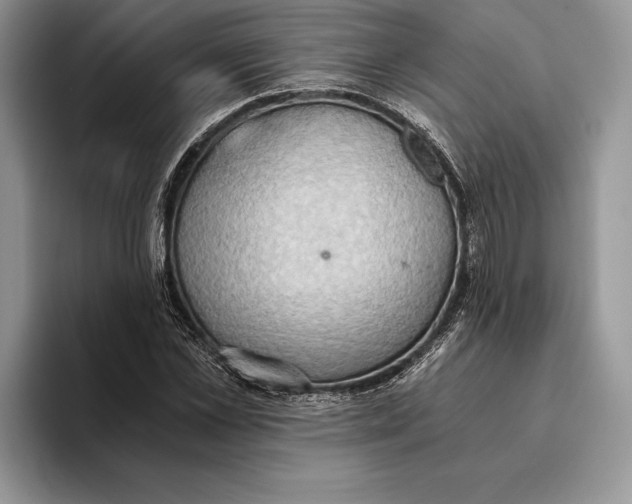 X0000093410973200711091356